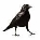 Ворона, братья Гримм, читать сказку про ворону онлайн бесплатно | Русская  сказка